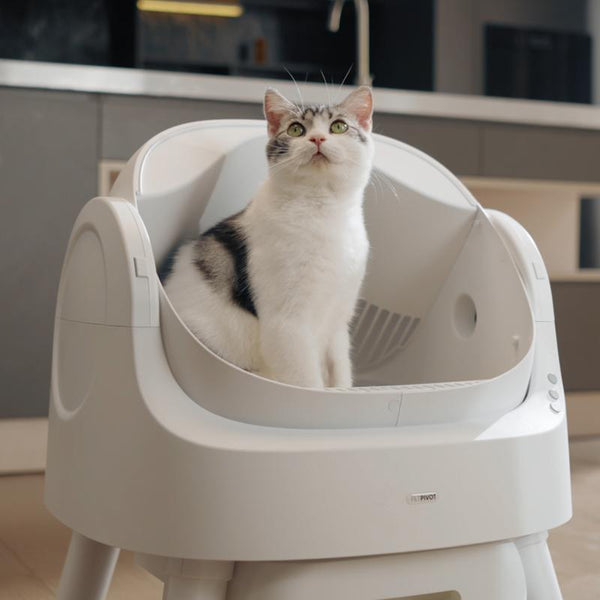 AutoScooper Open-Top Self-Cleaning Cat Litter Box