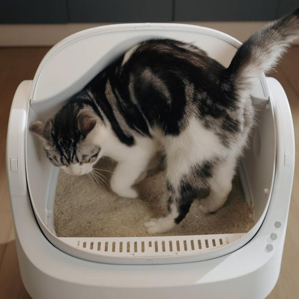 AutoScooper Open-Top Self-Cleaning Cat Litter Box