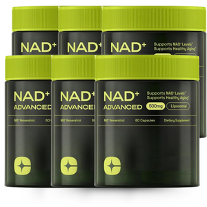 6 Month NAD+ Transformation Bundle