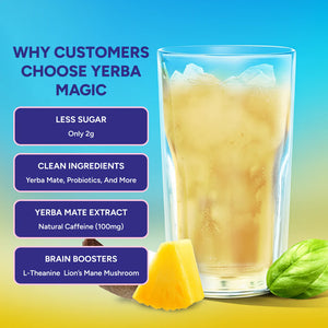 Yerba Mate Instant Tea Powder