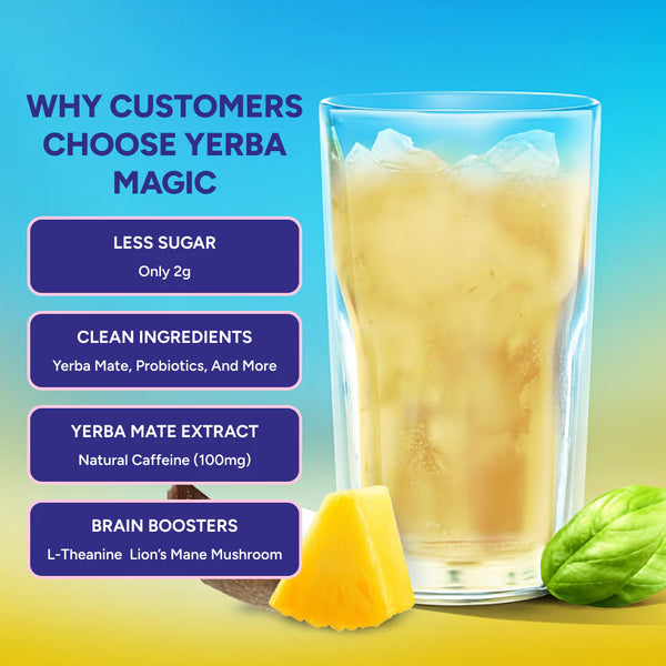 Yerba Mate Instant Tea Powder