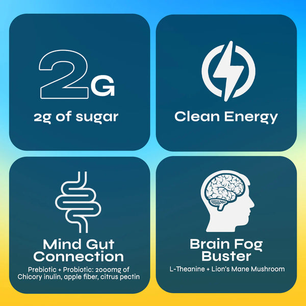 Yerba Mate Instant Tea Powder